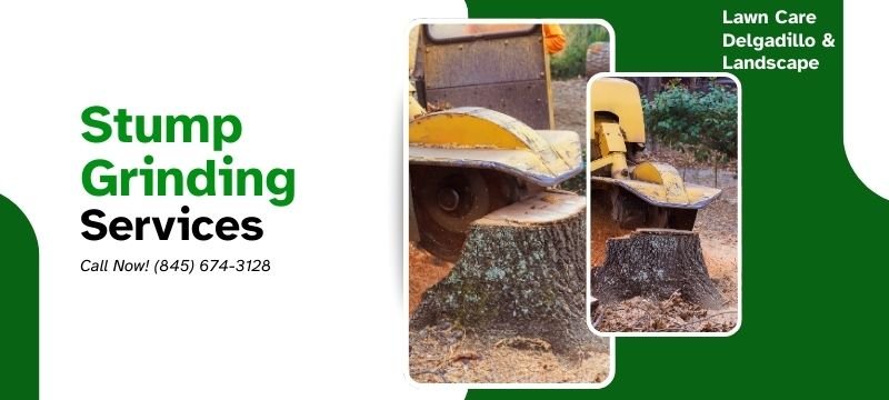 Stump grinding service Orange County NY